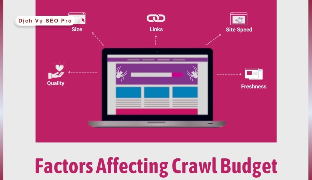 Crawl budget là gì